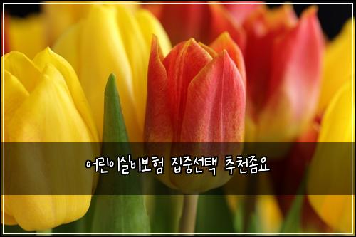 어린이실비보험 집중선택  추천좀요