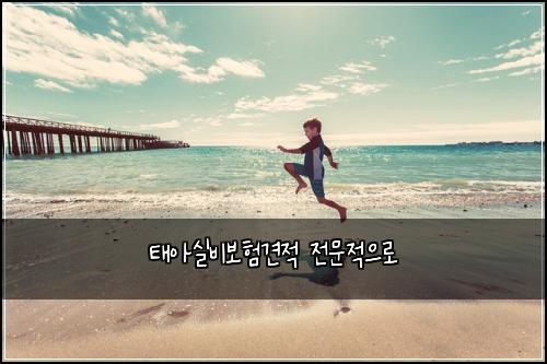 ํ์์ค๋น๋ณดํ๊ฒฌ์ ์ ๋ฌธ์ ์ผ๋ก