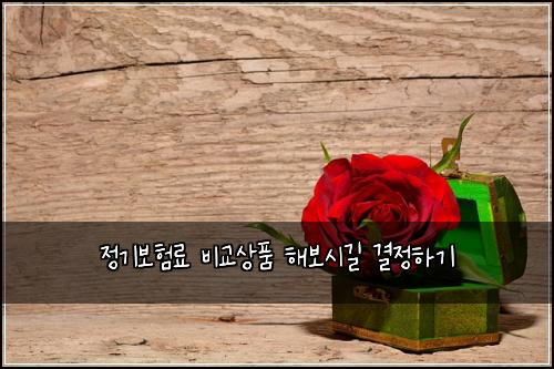 ์ ๊ธฐ๋ณดํ๋ฃ ๋น๊ต์ํ ํด๋ณด์๊ธธ ๊ฒฐ์ ํ๊ธฐ