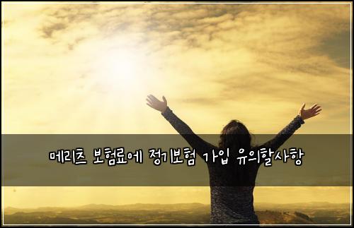메리츠 보험료에 정기보험 가입 유의할사항