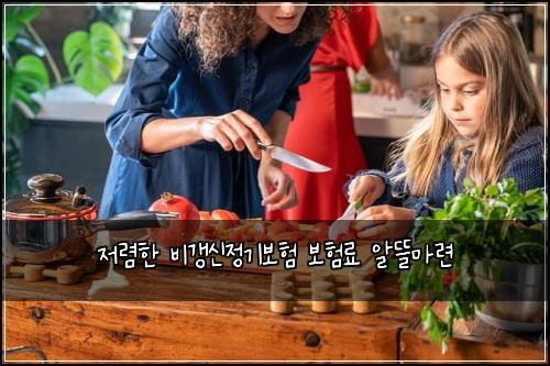 저렴한 비갱신정기보험 보험료 알뜰마련