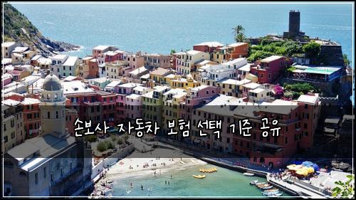 손보사 자동차 보험 선택 기준 공유