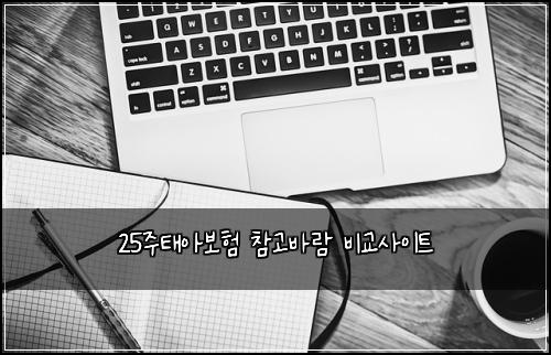 25์ฃผํ์๋ณดํ ์ฐธ๊ณ ๋ฐ๋ ๋น๊ต์ฌ์ดํธ