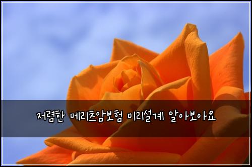 저렴한 메리츠암보험 미리설계  알아보아요