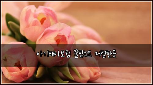아기태아보험 꿀팁노트  저렴한곳