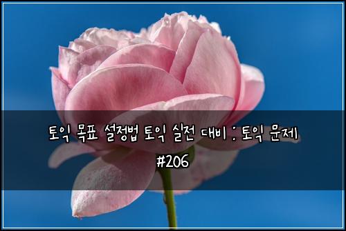 ํ ์ต ๋ชฉํ ์ค์ ๋ฒ ํ ์ต ์ค์ ๋๋น : ํ ์ต ๋ฌธ์ #206