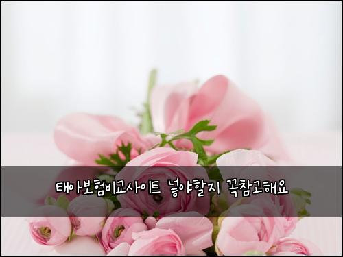 ํ์๋ณดํ๋น๊ต์ฌ์ดํธ ๋ฃ์ผํ ์ง ๊ผญ์ฐธ๊ณ ํด์