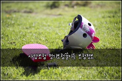 ์ฌ๋ง๋ณดํ ์ ๊ธฐ๋ณดํ๊ฟ์ด๋ ๋ณดํ์ ๋ณด