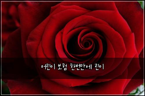 어린이 보험 한번만에  린이