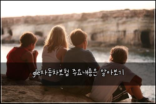 gle์๋์ฐจ๋ณดํ ์ฃผ์๋ด์ฉ์ ์์๋ณด๊ธฐ