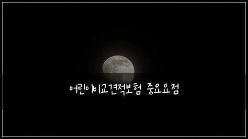 어린이비교견적보험 중요요점 