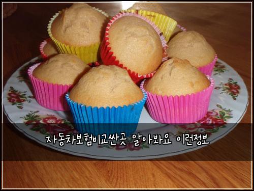 자동차보험비교싼곳 알아봐요 이런정보