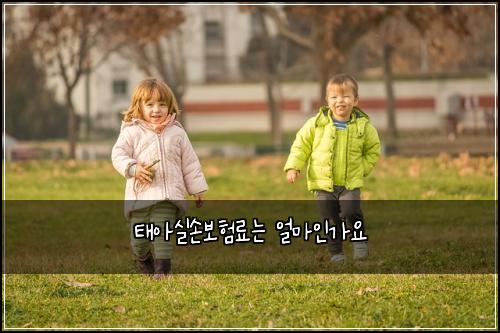 태아실손보험료는 얼마인가요