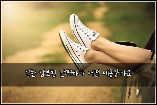 신한 암보험 간편하다  어떤 내용일까요