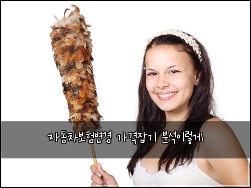 자동차보험변경 가격잡기 분석이렇게