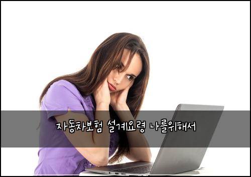 자동차보험 설계요령  나를위해서