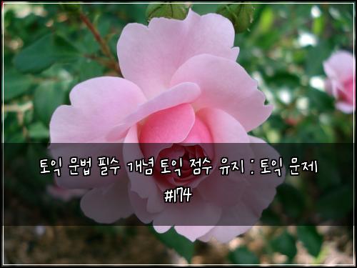 ํ ์ต ๋ฌธ๋ฒ ํ์ ๊ฐ๋
ํ ์ต ์ ์ ์ ์ง : ํ ์ต ๋ฌธ์ #174