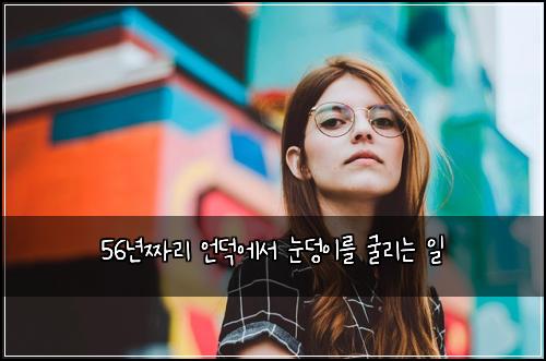 56년짜리 언덕에서 눈덩이를 굴리는 일