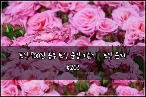 토익 700점 공부 토익 문법 기본기 : 토익 문제 #203
