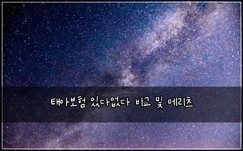 태아보험 있다없다  비교 및 메리츠