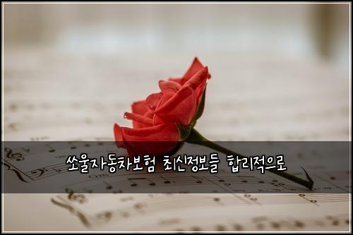์์ธ์๋์ฐจ๋ณดํ ์ต์ ์ ๋ณด๋ค ํฉ๋ฆฌ์ ์ผ๋ก