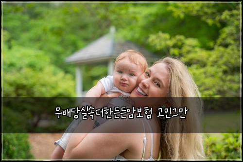 무배당실속더한든든암보험 고민그만 