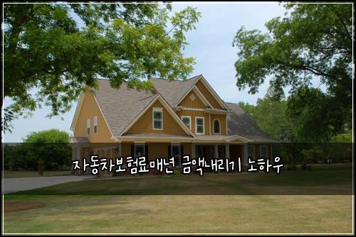 자동차보험료매년 금액내리기 노하우
