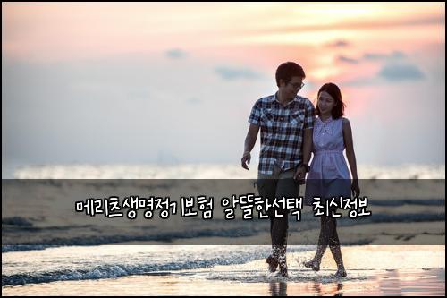 메리츠생명정기보험 알뜰한선택  최신정보