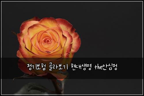정기보험 골라보기  현대생명 the안심정