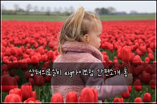 상해의료실비 aig아이보험 간편소개  홍