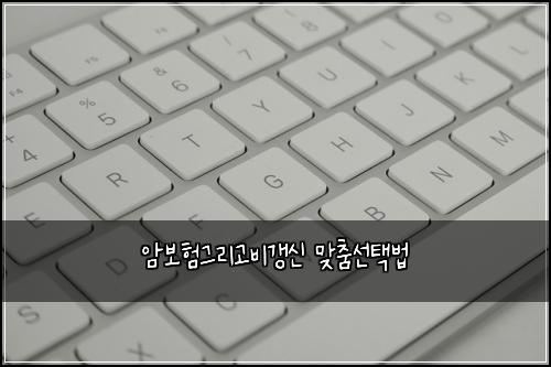 ์๋ณดํ๊ทธ๋ฆฌ๊ณ ๋น๊ฐฑ์ ๋ง์ถค์ ํ๋ฒ