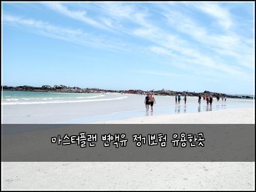 마스터플랜 변액유 정기보험 유용한곳 