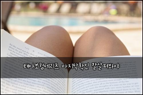 ํ์๋ณดํ๋ฉ๋ฆฌ์ธ ๋ง์ง๋งํ์ธ ์์ดํด๋ด์ผ