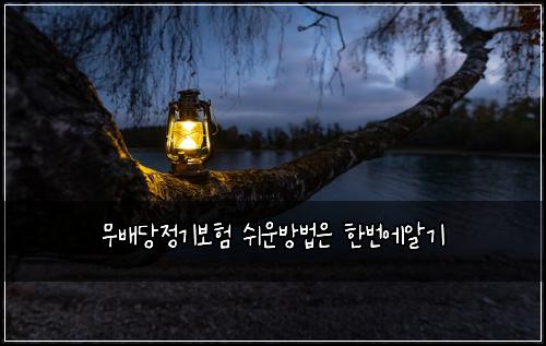 ๋ฌด๋ฐฐ๋น์ ๊ธฐ๋ณดํ ์ฌ์ด๋ฐฉ๋ฒ์ ํ๋ฒ์์๊ธฐ