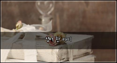 영어 한 마디