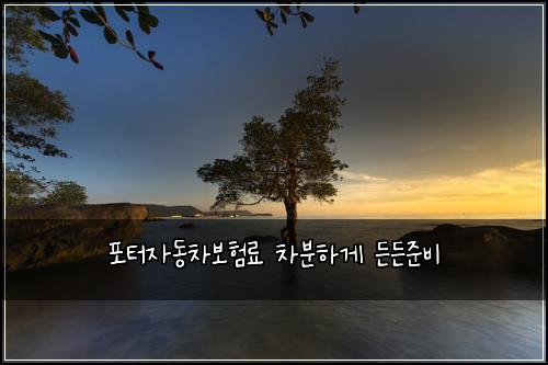 ํฌํฐ์๋์ฐจ๋ณดํ๋ฃ ์ฐจ๋ถํ๊ฒ ๋ ๋ ์ค๋น