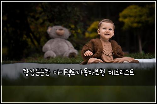 항상든든한 다이렉트자동차보험 체크리스트