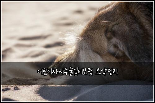 어린이사시수술실비보험 요약정리 