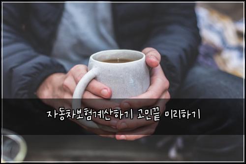 자동차보험계산하기 고민끝 미리하기