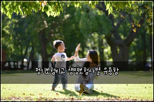 정기보험비교 생명보험사별 유용함