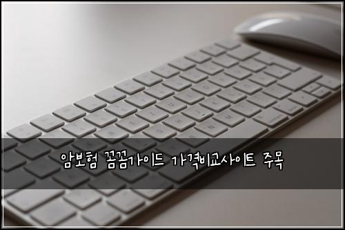 암보험 꼼꼼가이드  가격비교사이트 주목