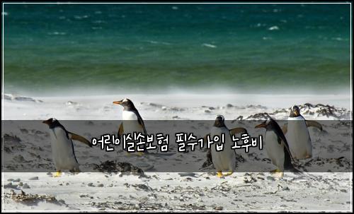 어린이실손보험 필수가입  노후비