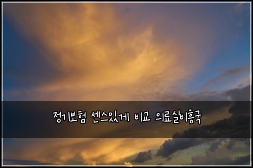 정기보험 센스있게  비교 의료실비흥국