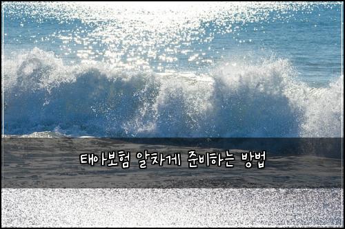 태아보험 알차게 준비하는 방법