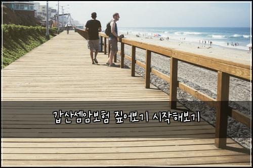 갑산셈암보험 짚어보기  시작해보기