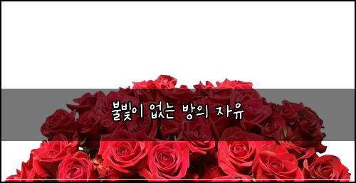 불빛이 없는 방의 자유