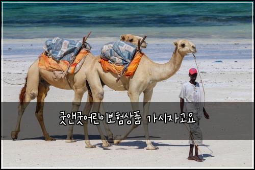 굿앤굿어린이보험상품 가시자고요