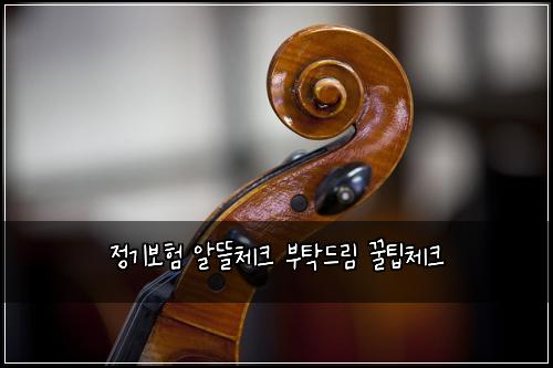 정기보험 알뜰체크  부탁드림 꿀팁체크