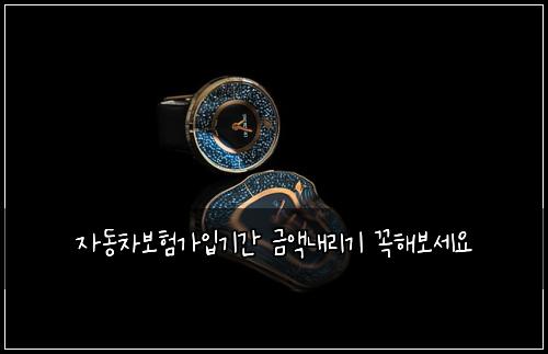 자동차보험가입기간 금액내리기 꼭해보세요