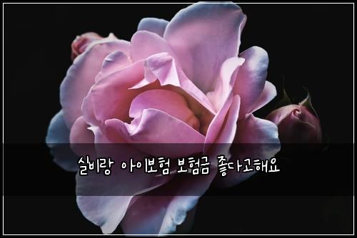 실비랑 아이보험 보험금 좋다고해요